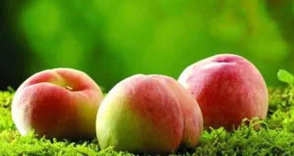 禁忌|桃子不能和几种食物一起吃,吃桃子有哪些禁忌,平时要注意