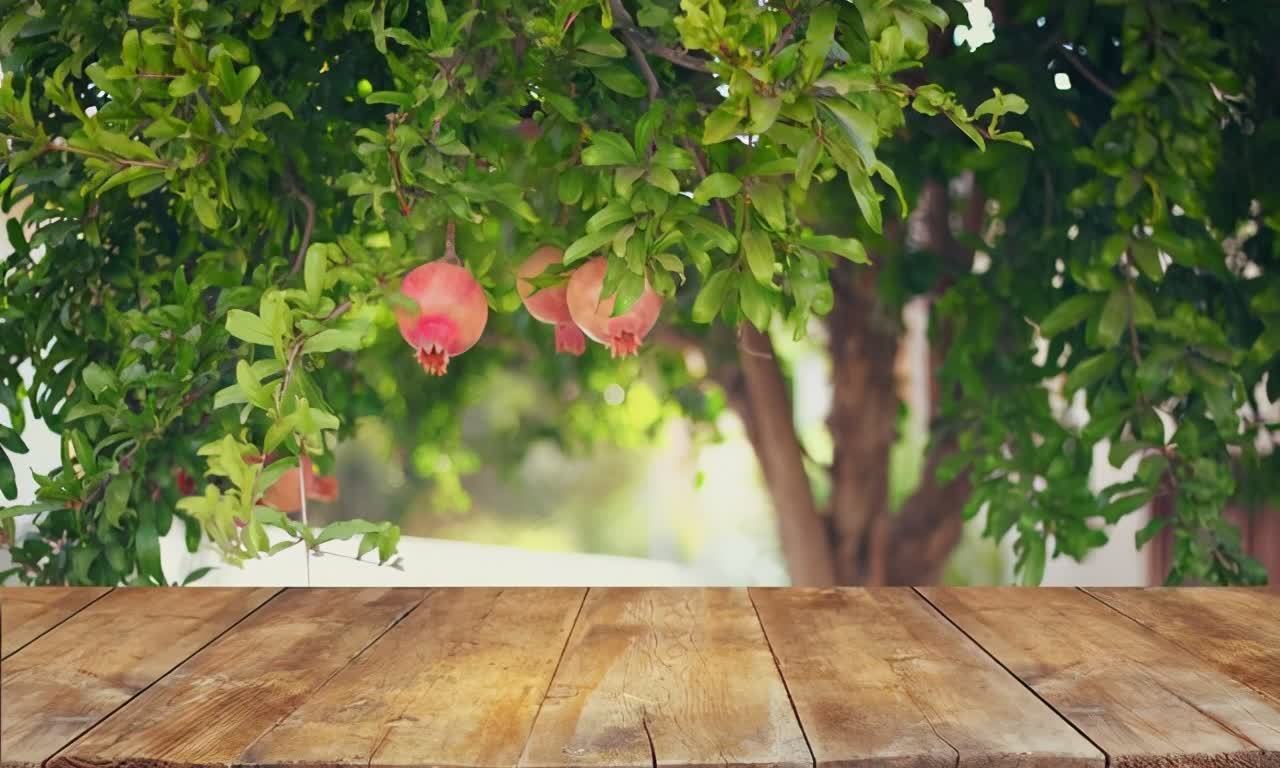 进入3月植树忙,有空地就种“4种树”,能看能吃,越大价值越高