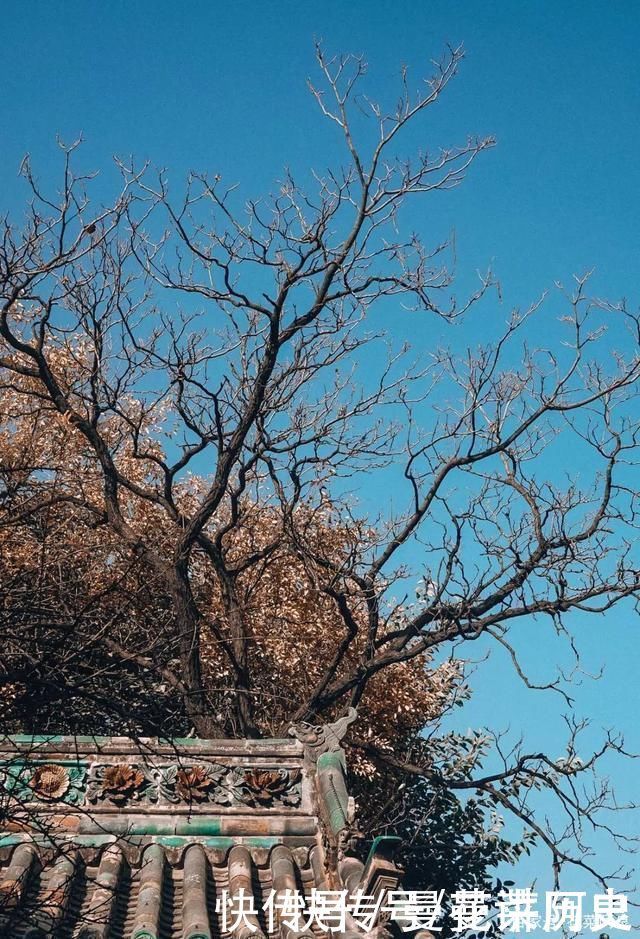 大宋|开封大相国寺，大宋第一皇家寺院，围观镇寺之宝千手千眼观音像!