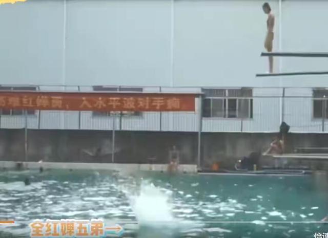 中国跳水队|全红婵10岁弟弟刻苦训练!腾空高度异于常人,跳水新王一统江湖?