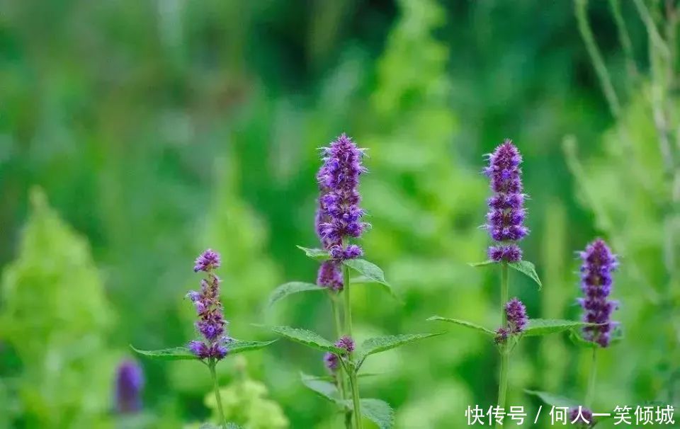 “瘦不下去”和“胖不起来”,其实都是身体出了问题,赶紧调理