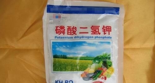 磷酸二氢钾养花虽好,但“4个阶段”不适用,别再弄错了