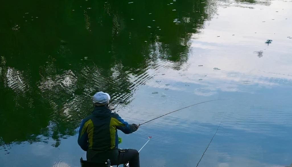 降温后鱼口轻总是没顿口换个“思路”来调漂，马上就黑漂了