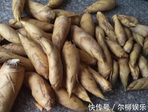 增生|“天然叶酸”被找到了,每天吃两口,通乳散结,增生或“绕着走”