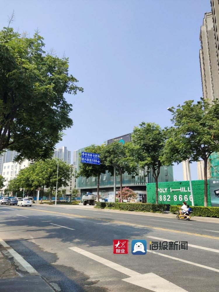 预算300-330W 新都心片区房子选哪个?甜姐带你探|海报说房| 房子