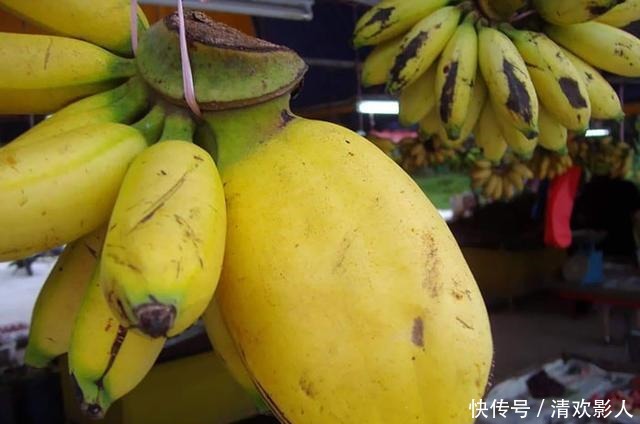 吃牡蛎吃出珍珠!专属于吃货的幸运时刻!