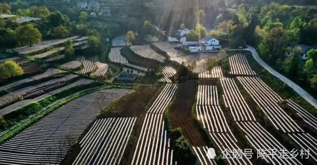 秦岭里有个山村很神奇，从空中看大地光芒四射很刺眼，怎么回事？