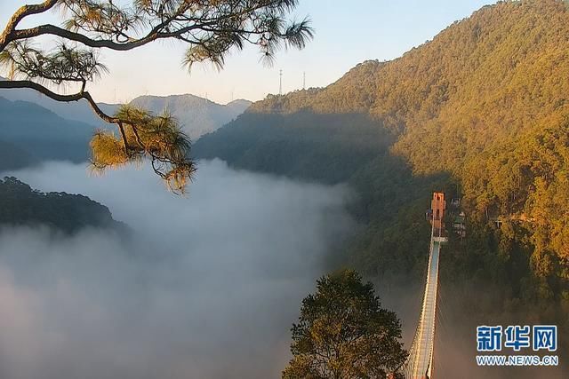 云南|要不要到云南，来一场说走就走的毕业旅行?