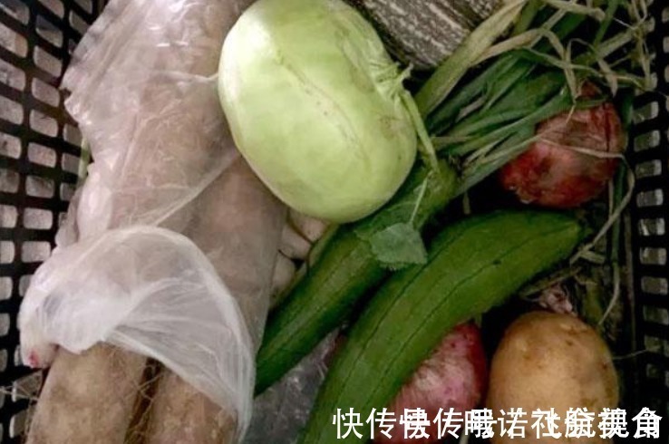 长寿的男人，通常会有“五爱”的特征，占了两个，或都和长寿有缘