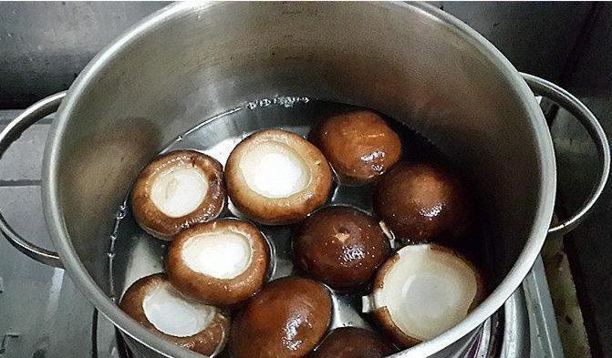 油麦菜|失眠最该多吃，简单易学，失眠好了，精神满满度夏