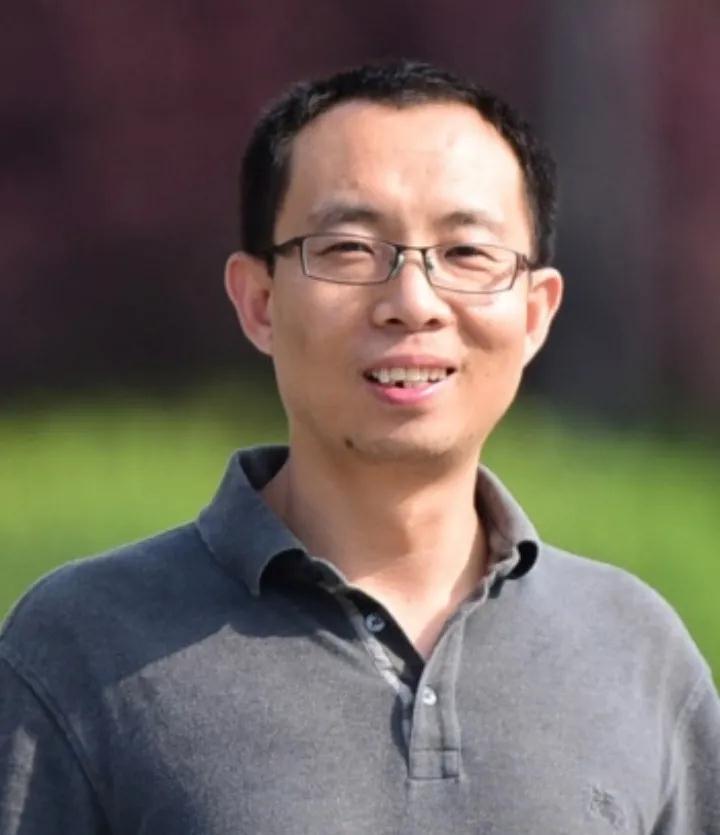 免疫治疗|“锰”吃点,或降低癌症发病率