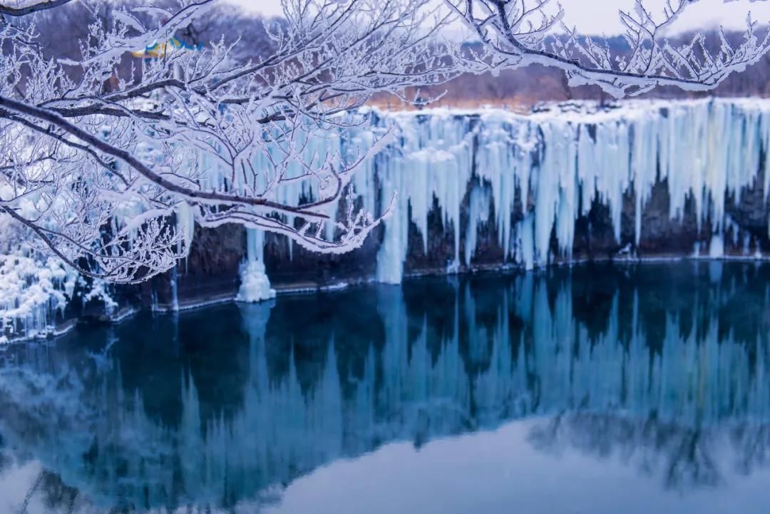  都能变成|再过30天，全国人民都羡慕死东北了