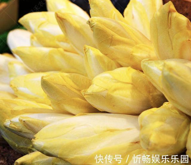 此种“废根”可以当盆栽,埋花盆里7天,长成“黄金菜”,1斤30元