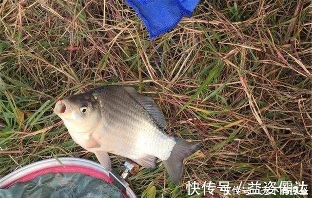 黑坑|黑坑老板有这几种行为以后别再去，妥妥的坑你没商量