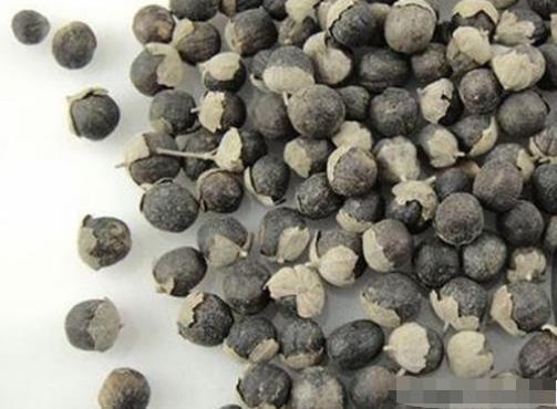 同是感冒,风寒、风热、暑湿不同,这样辨证,才能对症下药