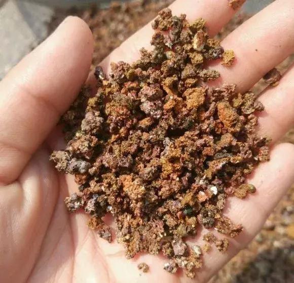 什么腐叶土、营养土,比不上“一窝煤”,养花不烂根,易爆盆!