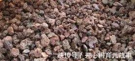 这种废物稍加处理,就能变废为宝,用来养多肉不烂根植株壮