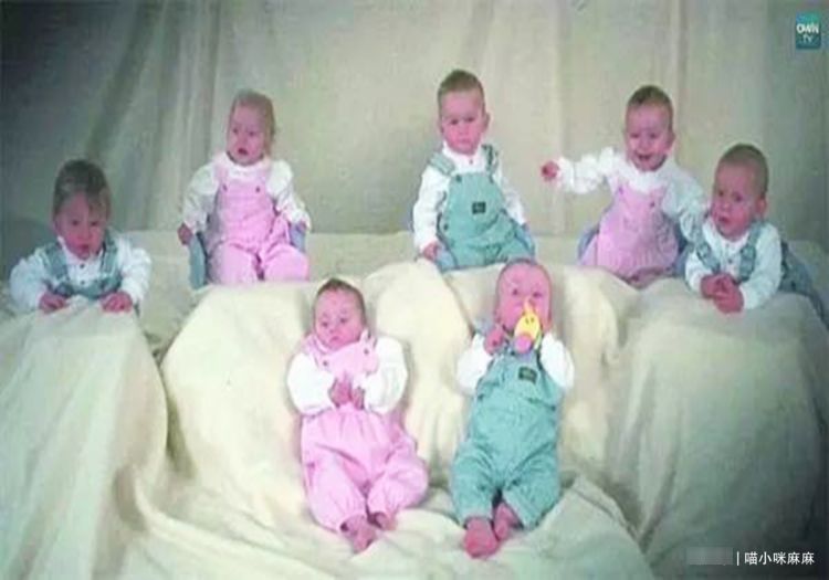 胎生|一胎生“一窝”是种什么体验?七胞胎一天用52片尿布,喝42瓶奶粉
