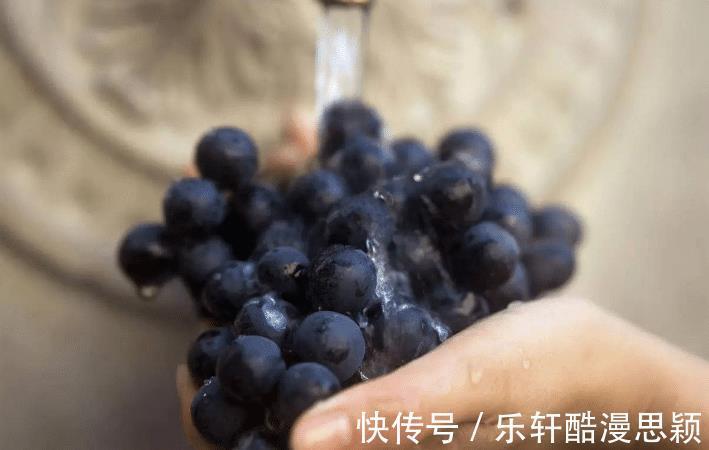 葡萄茎|洗葡萄不要只用水清洗,巧加两个料,葡萄干干净净,没虫卵没农药