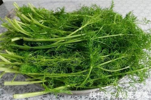 葱花炒蛋|常吃这菜的人,腰都悄悄变细了,它富含膳食纤维开胃又排毒