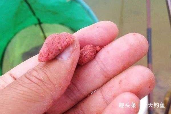 带饵|带饵调漂的优势,这种调漂方法公认最科学,肯定是有道理的