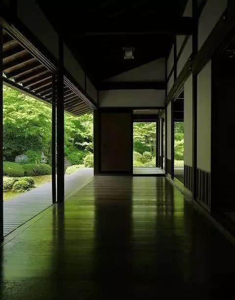 庭院|愿得一庭院,只用来喝茶