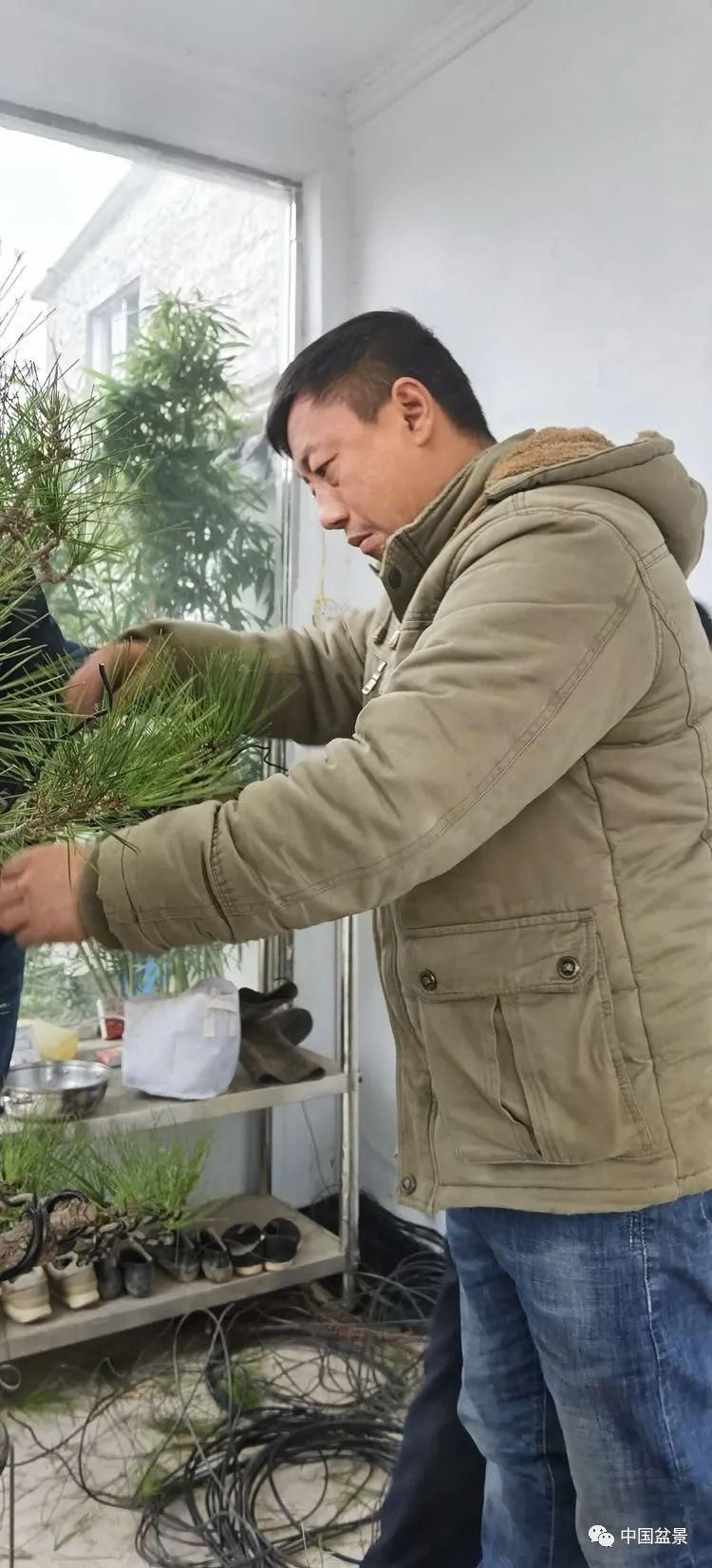  技艺|传播盆景技艺 相约千年古城