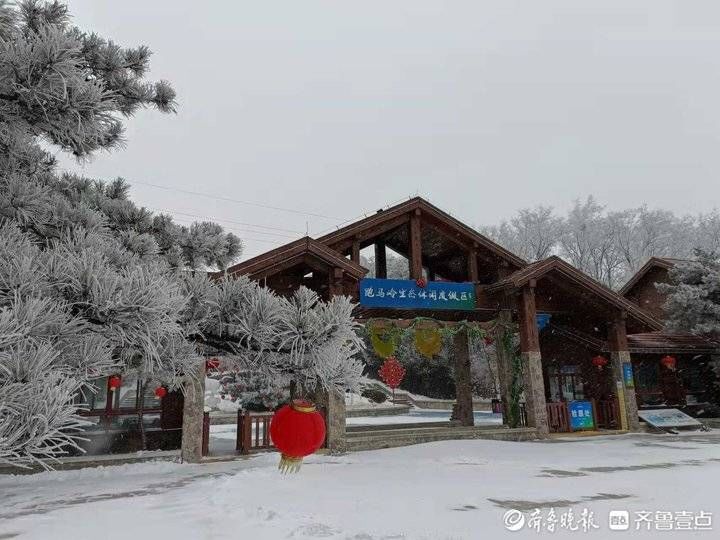 程凌润|入冬第二场降雪如约而至！济南跑马岭再现雾凇奇观