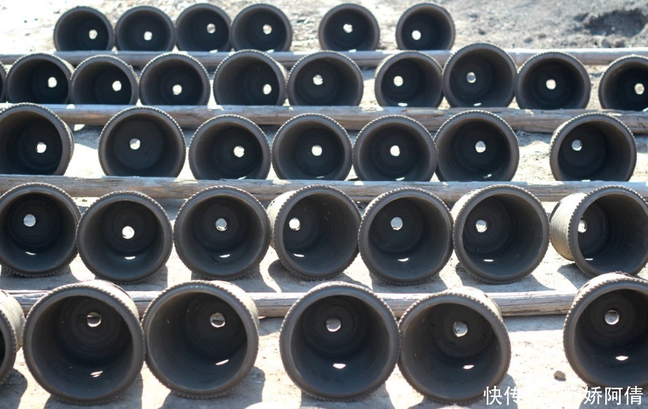 基础|光、肥、盆、水,作为养花的4大基础点,掌握住才养得好花