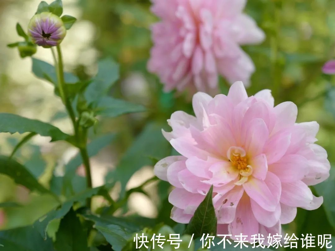 王维$王维最经典的7首诗,安静而美好,一生至少读一次