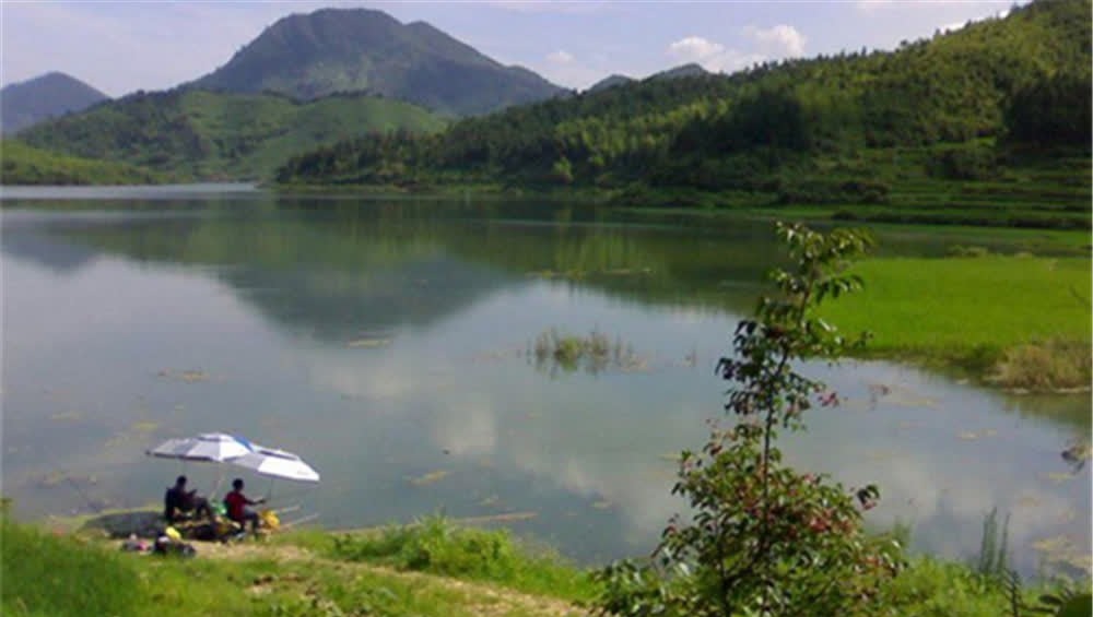 当代钓鱼人之“痛”：大包小包出门，两手空空而回，心是真的酸！