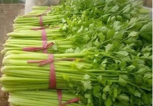 會養生的人都會吃，常吃幾種食物，排毒抗菌，滋補身體，誰吃誰好