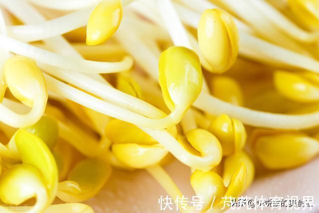 芽苗菜|春吃芽,选绿豆芽还是黄豆芽?牢记“2不买”,实惠营养又好吃