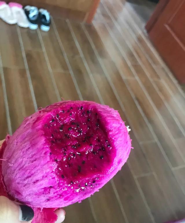 丢一把种子到水里，7天冒出小森林，越热越长个！绿植盆栽不用买