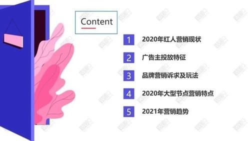 WEIQ：2020年度红人营销白皮书