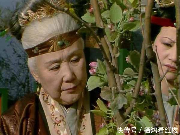 珍藏密敛|王夫人遍寻人参而不得,贾母却有一包最好的,为什么偏是朽坏的?