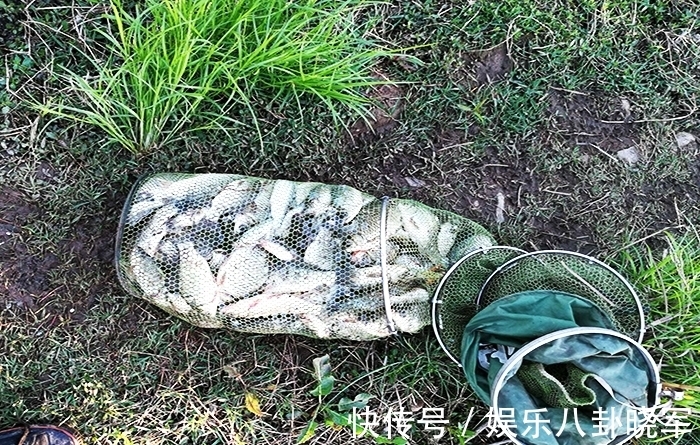 钓友|每次钓鱼都用这个方法,从来没有“空军”过,屡试不爽