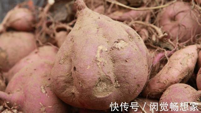在家自制红薯干，教你1招，好吃又解馋，蒸的不上火