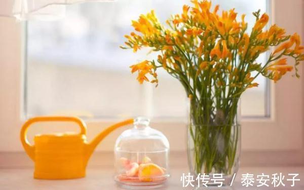 羊毛衫 被中年“大妈”惊艳到!真正优雅的女人:50岁+依旧很美、很高级