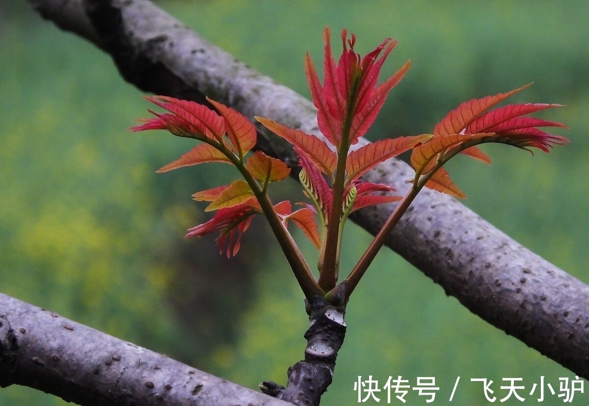 诗人&黄庭坚感慨朋友落魄潦倒，吟诵了一首七律，语言凝练，情感真切