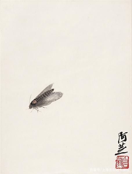 书画社|齐白石担心老后受视力限制,齐白石传人书画社-少白汤发周说,他就预先画了一批工虫