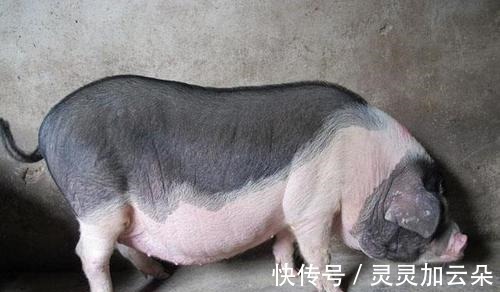 香味|70年代最让人怀念的几种食物，口感以及香味现在已经很难吃到！