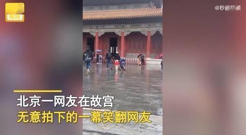 萌娃|爸妈牵手游故宫,留萌娃自己推婴儿车!网友:父母是真爱孩子是意外