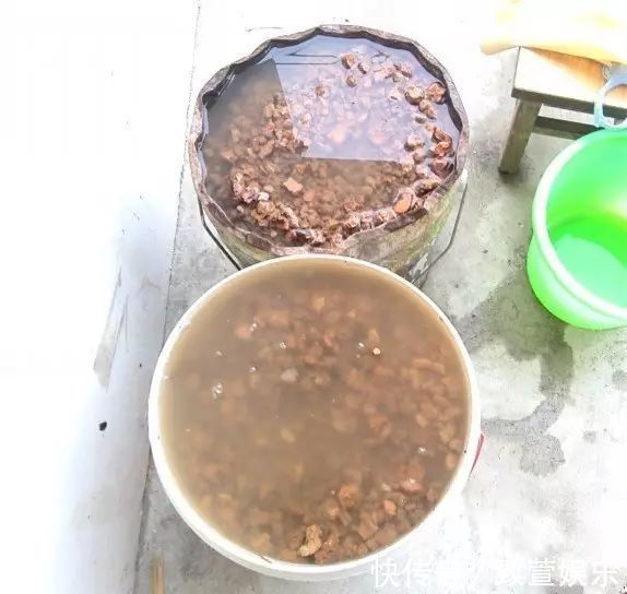 养兰花总是烂根黄叶盆底垫上常见生活垃圾，不烂根新芽冒不停