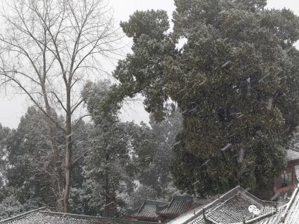 妙高镇金城山雪景图