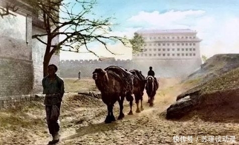 街头|清朝真实老照片:百姓街头拔牙,最后一张贵族女子在花园里闲聊!