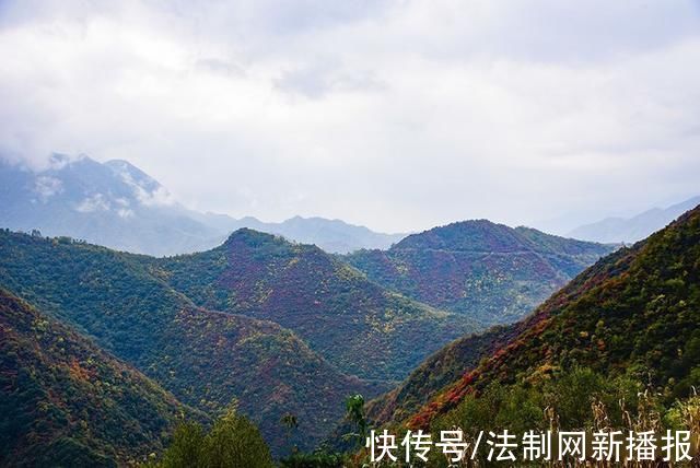 万山红遍|汉中略阳的秋天