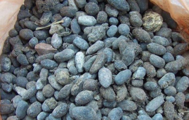 发酵羊粪，用来养花该注意什么？