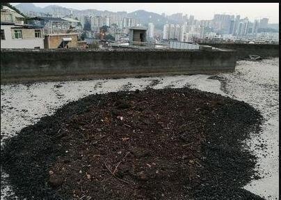 搞来的养花土，少做这一步，养什么花都活不了