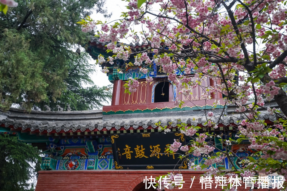 洛阳|国内重名率最高的寺院，其中一个省份有三座，游客心中只认准一个